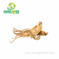 Ginseng Extract Powder 80% Ginsenosides UV